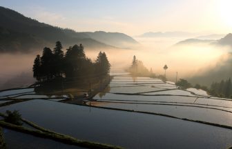 蔵川の棚田