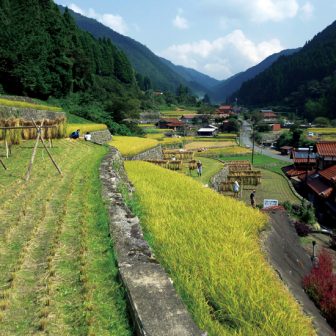 三谷の棚田