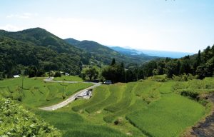 室谷の棚田