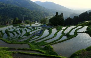 室谷の棚田