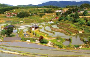 中須北の棚田