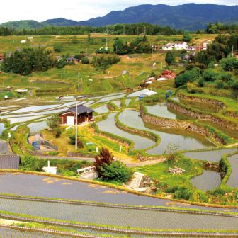 中須北の棚田