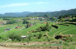 中須北の棚田