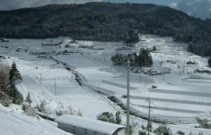 中須北の棚田