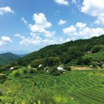 上山（うえやま）｜　岡山県美作市