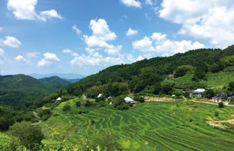 上山棚田