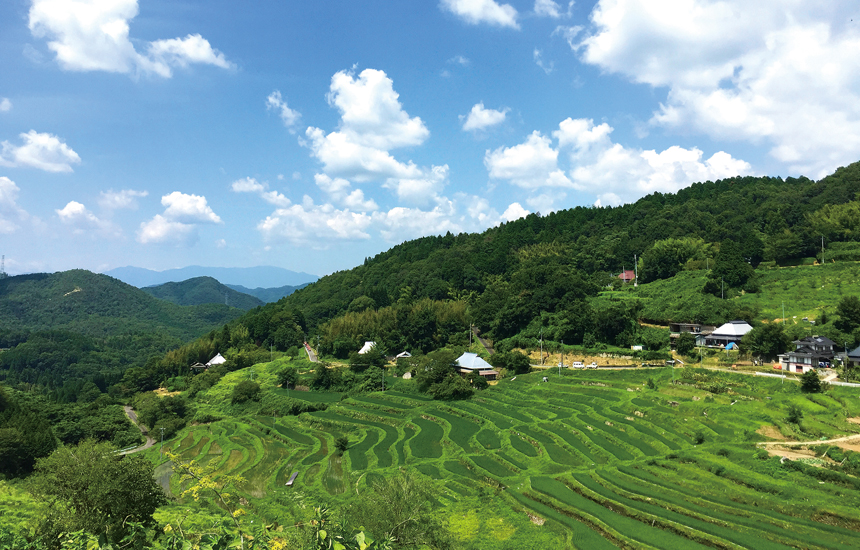 上山棚田