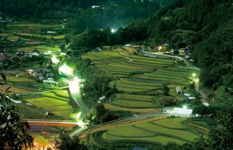 田野々の棚田