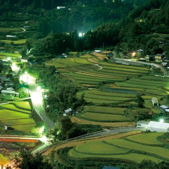 田野々の棚田