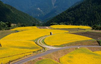 八重地の棚田