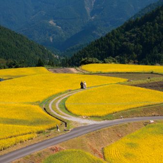 八重地の棚田