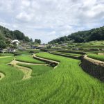 「田和の棚田」撮影者名：田和棚田交流人(松岡浩規)　撮影場所：佐用町田和の棚田　撮影日：2020年7月19日