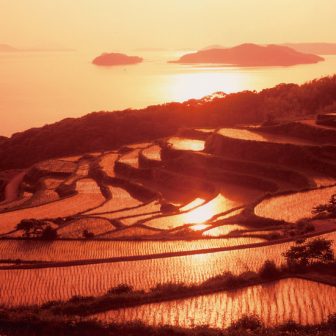 土谷の棚田