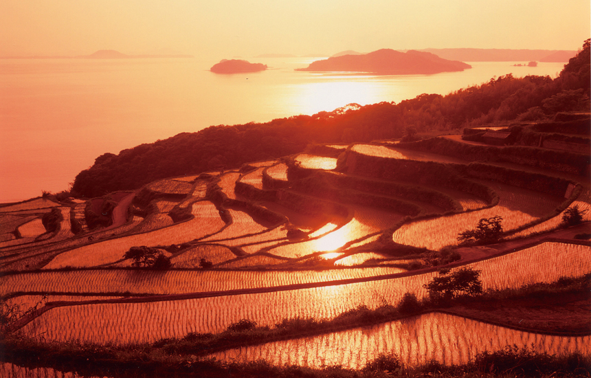 r.k.a様　12月10日（水）夕方 doya_main.jpg