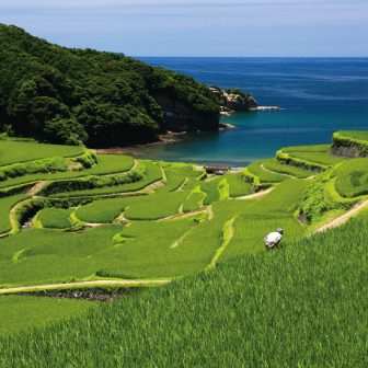 浜野浦の棚田