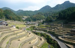 川棚町日向の棚田