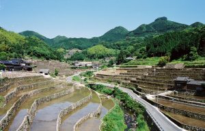 川棚町日向の棚田