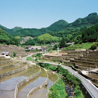 川棚町日向の棚田