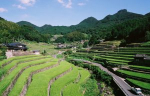 川棚町日向の棚田