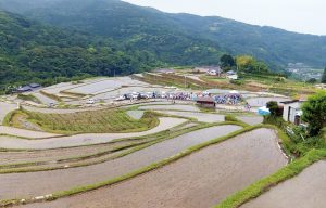 大中尾の棚田