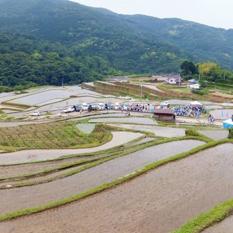 大中尾の棚田