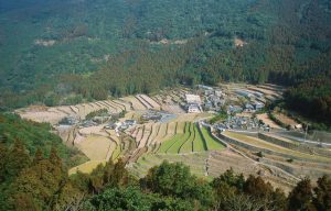 清水の棚田