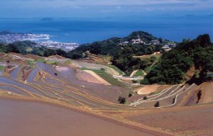 谷水の棚田