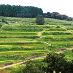 峰(みね)| 熊本県山都町