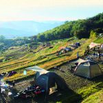 特集「棚田でCAMP」
