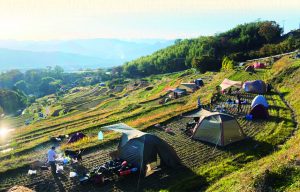 稲倉の棚田キャンプ