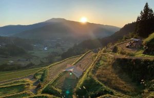 坂折棚田キャンプ