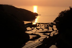 夕暮れの棚田 撮影者：森下富夫　撮影地：佐賀県玄海町浜野浦の棚田 　撮影日：2018年4月30日