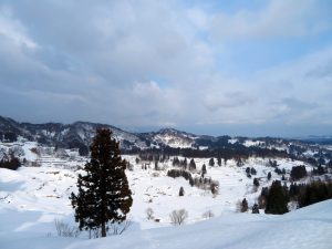 雪の星峠　撮影者：三谷真実　撮影地：新潟県十日町市　撮影日：2018年1月20日