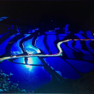 月光 撮影者：川上英樹　撮影地：新潟県小千谷市　撮影日：2014年6月