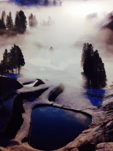 撮影者：川上英樹　撮影地：新潟県長岡市　撮影日：201３年4月