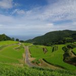 撮影者：石川公康　撮影地：佐渡市岩首棚田　撮影日：2016年8月10日