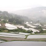 「坂折の棚田1」　撮影者：itazu tunemiti 撮影地：恵那市坂折の棚田　撮影日：2003年9月10日