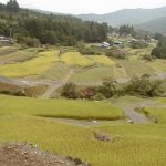 「坂折の棚田1」　撮影者：itazu tunemiti 撮影地：恵那市坂折の棚田　撮影日：2003年9月10日