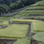 「坂折の棚田2」　撮影者：itazu tunemiti 撮影地：恵那市坂折の棚田