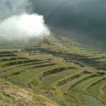 「丸山千枚田」　撮影者：松本弘　撮影地：三重県紀和町　撮影日：2000年5月