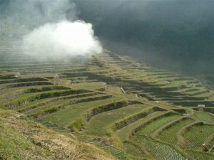 「丸山千枚田」　撮影者：松本弘　撮影地：三重県紀和町　撮影日：2000年5月