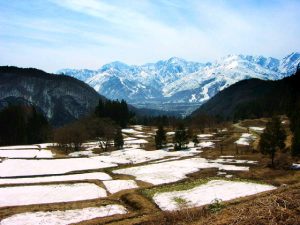 「白馬青鬼の棚田3」　撮影者：かしわばら　撮影地：白馬青鬼の棚田　撮影日：2004年