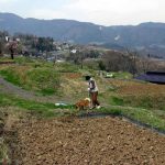 「千曲市の姥捨棚田」　撮影者：高砂寿一　撮影地：千曲市　姥捨棚田　撮影日：2004年