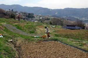 「千曲市の姥捨棚田」　撮影者：高砂寿一　撮影地：千曲市　姥捨棚田　撮影日：2004年