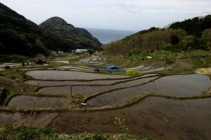 「松崎町石部」　撮影者：高橋秀樹　撮影地：静岡県賀茂郡松崎町石部　撮影日：2004年4月