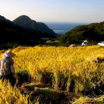 「松崎町石部」　撮影者：高橋秀樹　撮影地：静岡県賀茂郡松崎町石部　撮影日：2004年4月