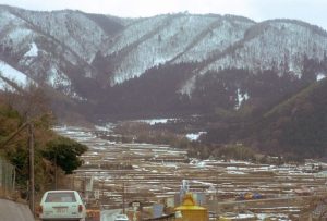 「福井県越廼村」　撮影者：北出公洋　撮影地：福井県越廼村　撮影日：1977年1月