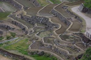 「愛知・鳳来町鞍掛山千枚田」　撮影者：原田　撮影地：愛知・鳳来町鞍掛山千枚田　