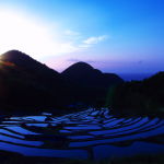 「松崎町、田植え前の石部棚田」　撮影者：志津 州彦　撮影地：静岡県松崎町・石部棚田　撮影日：2007年4月29日