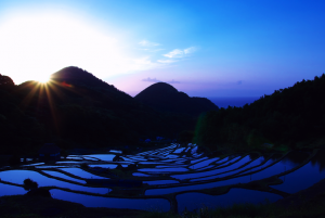 「松崎町、田植え前の石部棚田」　撮影者：志津 州彦　撮影地：静岡県松崎町・石部棚田　撮影日：2007年4月29日